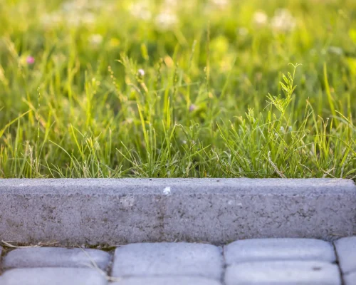 closeup-of-pavement-curb-with-green-grass-lawn-beh-2026-03-17-05-03-42-utc