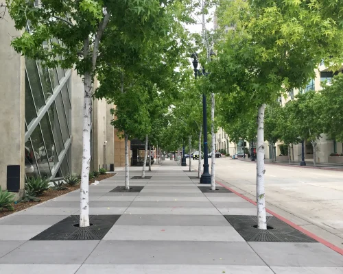 empty-city-street-with-aspen-trees-empty-urban-s-2026-03-11-00-50-44-utc